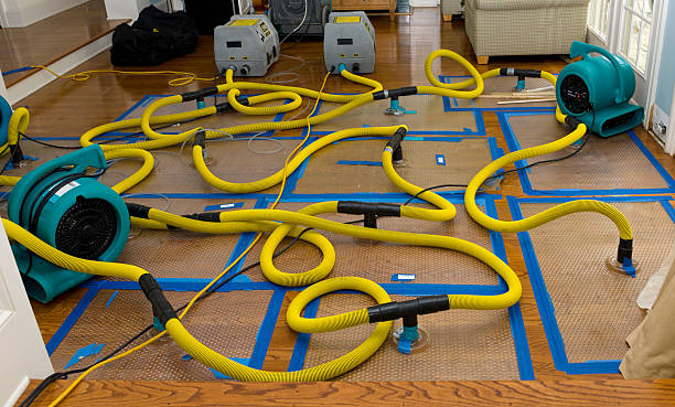 Professional Storm Water Damage Restoration technician working in Portage, OH